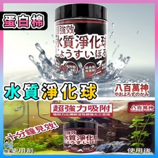 放風水族 淨水寶 蛋白綿 改變水黃 水質淨化 魚缸淨水 濾材 去黃水, 1個, 【300ML】八百萬神-超強淨化球