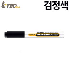 모나미 프로 페인트 마카 검정 2mm, 1색, 1개