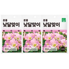 [주주씨앗] 분홍낮달맞이 씨앗 1000립 3봉세트 핑크 달맞이꽃 낮달맞이꽃 씨앗 종자 봄 가을 파종 다년생 노지월동 야생화 꽃씨 몰 파는곳, 3개 3개