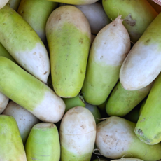 [초특가할인] 무우 국내산 무 무우 세척되어 깔끔한 무우 세척무, 1박스, 국내산 세척무 10kg