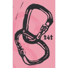 (영문도서)T4t Paperback, Small Harbor Publishing, English, 9781957248660