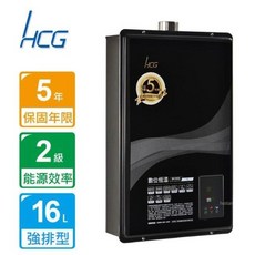 和成 HCG GH1655 數位恆溫強制排氣熱水器，舊換新服務，安全節能首選, GH1655 舊換新