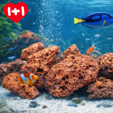 비쥬마켓 어항 화산석 어항바닥재 어항여과재 + 망 포함, 2개