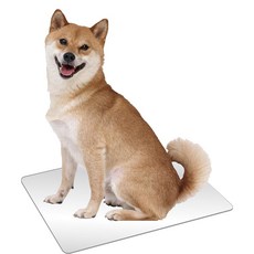 마루칸 시원한 쿨 알루미늄 플레이트 L DP-807