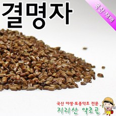 100%국내산 결명자(특품) 500g 결명자차 효능 효과 볶은결명자 볶음, 1개