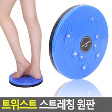 [떠기네] 홈트레이닝 복부 코어 운동 트위스트 스트레칭 원판 1P 실내운동기구