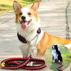 PM 대형견 목줄+리드줄 1.25M 레드 훈련용목줄