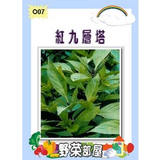 【野菜部屋】O07 紅九層塔種子 紅梗品種, 1包
