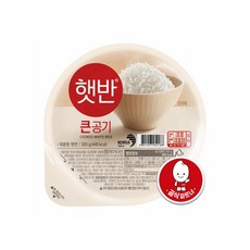 햇반 사각 큰햇반, 300g, 20개