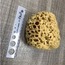 林林漆 華倫藝術塗裝工具 天然海藻刷 圓形 藝術塗裝 質感呈現, 1個