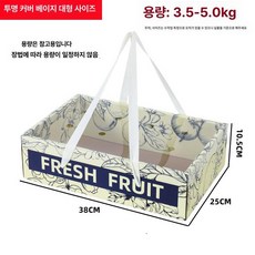 브랜드없음 분할형 과일포장박스 제품 과일 선물 상자 끈, 1개, 투명뚜껑베이지스타일