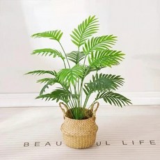 鳳凰尾仿真植栽, 室內小森林招財鳳凰尾仿真植栽, 1個