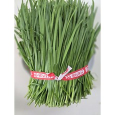 [여수산] 햇부추 국내산 노지재배 당일수확 1kg/2kg 산지직송, 3kg, 1개