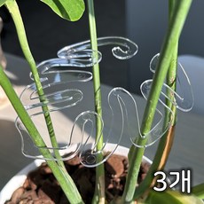 파파가든 몬스테라(투명) 식물지지대, 3개