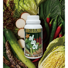 액상 복합비료 발근촉진제 뿌리발근제 텃밭 친환경 영양제 불가사리 불쑥이 500ml 1EA, 1개