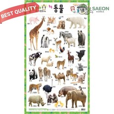 세이온 새샘 룰루랄라동물 사운드벽보 520x765mm 동물소리 학습 1개입