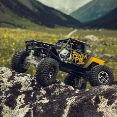 UDIRC 2405PRO 1/24 RC 전동 무선 조종 모델카 락 크롤러 성인 장난감 맞춤형 버전
