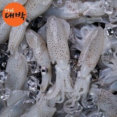 국내산 호래기 제철 꼴뚜기 숙회 통찜, 1개, 500g (50미 내외)