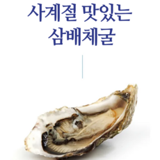 주인장 추천 여름에도 먹는 삼배체굴 고흥 남해안 석화 1kg 3kg 5kg, 1개, 삼배체굴 1kg