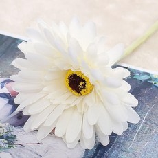 더캔바 조화 화이트 벽장식