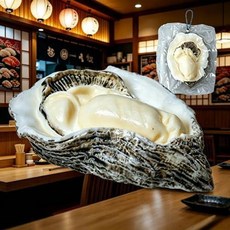말랑이 부드러운 물 감각 스트레스 해소 장난감, oyster