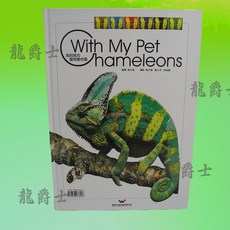 我與我的寵物變色龍, 1個