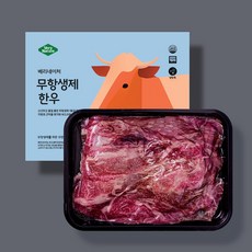 베리네이처 무항생제 한우 설도 불고기 소고기 300g 1등급 [냉장], 1. 설도 불고기300g(어른용), 1개