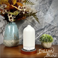 狄倫思 香氛機 在台快速出貨 夜燈水氧機 空氣加濕器, 陶瓷純潔白：D8.8*H17.8cm, 陶瓷純潔白, D8.8*H17.8cm