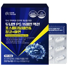 케어란스 두뇌엔 PS 브레인 액션 포스파티딜세린 징코 아연 24g, 1개, 60정
