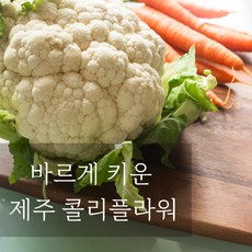 콜리플라워 특상품 생 컬리플라워 2kg 3kg 꽃양배추 국내산 산지직송, 1개