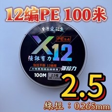 台灣愛釣魚 12編PE線 100米, 1個, 12編PE #2.5 連盤100米