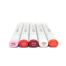 時代中西畫材 COPIC二代麥克筆 R系列 R0000-R24 橢圓桿 SKETCH麥克筆, 1個, R02