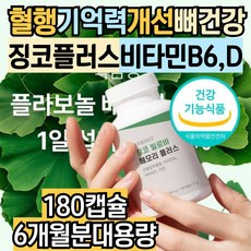 혈행 기억력 개선 영양제 징코 플러스 비타민b6 비타민d 은행잎추출물 메모리 효능 ginkgo, 1개, 180회분