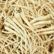 진생마트 국산 싱싱한 약도라지, 1개, 세척약도라지 (소)