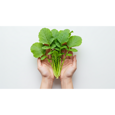 [국산] 아삭하게 잘 자란 열무! 부드러움보다 풍성함, 1박스, 국산 열무 1.2kg