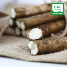 [GAP] 경산 세척 우엉 1kg/2kg, 1kg, 1개, 1kg
