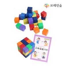 브레인숲 자석 매직큐브(교구+교재)