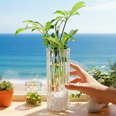 수경재배식물 수생식물 키우기 아크릴 투명 화분 만들기 세트 DIY, 투명 화병 수경식물 세트