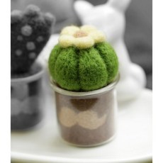 手工好物 圈圈木多肉植物羊毛氈搓搓樂材料包迷你小盆栽綠植DIY手工新手, 小黃花多肉（送工具花盆）, 1個