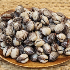 자연가득 청정 갯벌에서 생산된 벌교 새꼬막 3kg