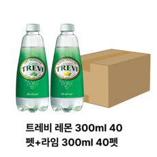 트레비 레몬 +라임, 300ml, 80개