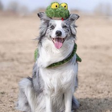 木木坊現貨秒出 呆呆蛇狗狗玩具 狗玩具 狗狗咬咬玩具 蛇造型玩具 超長狗玩具, 綠呆呆蛇, 1個