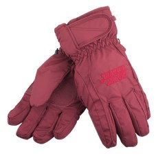 SNOW TRAVEL AR-ONE英國TPU防水白鵝羽絨700fill保暖滑雪手套