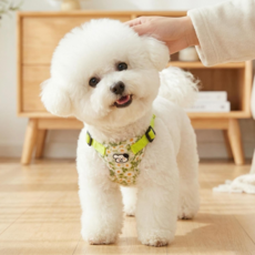 강아지하네스 강아지가슴줄 소형견 중형견 고양이용 Y형 경량 앞섬방지 통기성 플라워프린트 하네스, 1개, 그린green