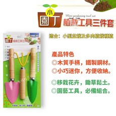 園丁牌 植栽工具三件套 迷你園藝工具組 適用小型盆栽及多肉植物種植, 1個