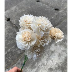 康乃馨索拉花 乾燥花束, 4cm,淺粉