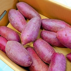 꿀고구마 고당도 애플구마 2kg 3kg 5kg 해남 세척 해나미, 애플구마 3kg 중상, 1개