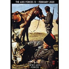 (영문도서) The axis force 13 Paperback, Soldiershop, English, 9788893275583