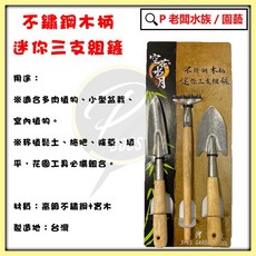 P老闆園藝 空花水月不鏽鋼木柄迷你園藝工具三件組 (小尖鏟.杷草器.小鏟) - 台灣製造, 1個