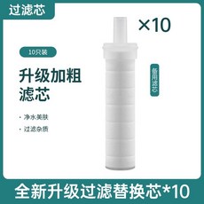 增壓過濾花灑噴頭 熱水器淨水家用除氯抑菌美膚 泰國旅行洗澡淋浴頭, 1個, 過濾花灑-專用濾芯*10